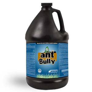 Ant Bully – Natural Spray For Ants 1 Gallon