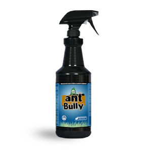 Ant Bully – Natural Spray For Ants 32oz