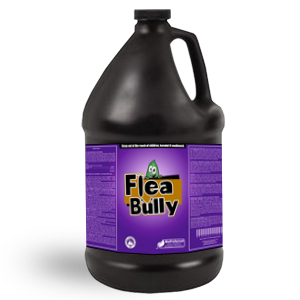 Flea Bully – Natural Flea Spray 1 Gallon