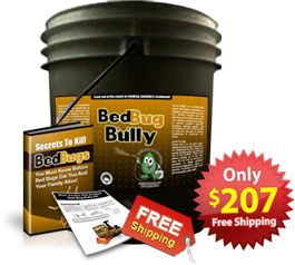 i6 How Do I Get Rid of Bed Bugs?