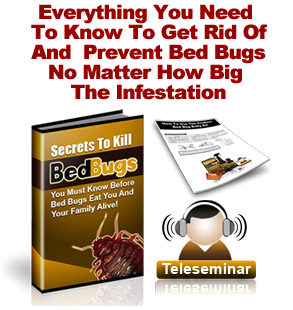 Bed Bug Bully Gold Advice Kit