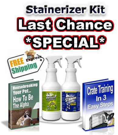 Natural Pet Stain And Odor Removal 32oz Kit