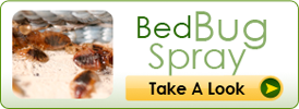 Bed Bug Spray
