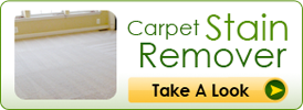Carpet Stain Remover