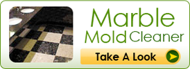 Marble Mold Cleaner