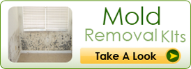 Mold Kit