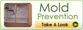 Mold Prevention