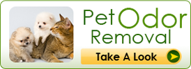 Pet Odor Removal