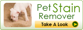 Pet Stain Remover