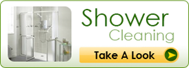 Shower Cleaning
