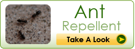 Ant Repellent