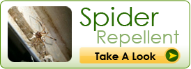 Spider Repellent
