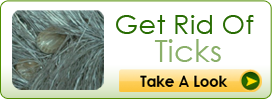 Get Rid Of Ticks