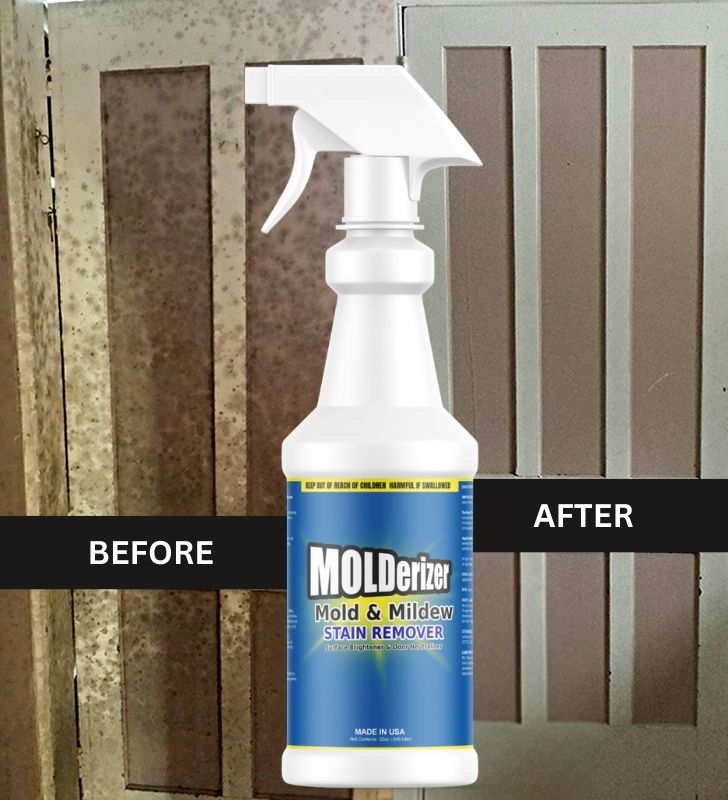 Mold stain removal before and after surface cleaning